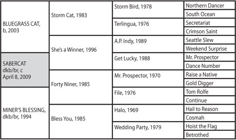 Winstar+farm+stablemates