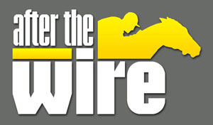 After the Wire Logo