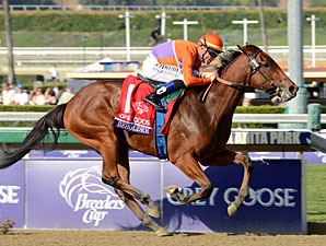 http://www.bloodhorse.com/images/content/BeholderBreedersCupJuvenileFillies2012AE298.jpg