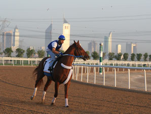 Curlin gets aggressive on Wednesday morning. (Photo Credit: Michele MacDonald)