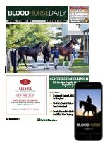 BloodHorse: Thoroughbred Horse Racing, Breeding, And Sales News, Data ...